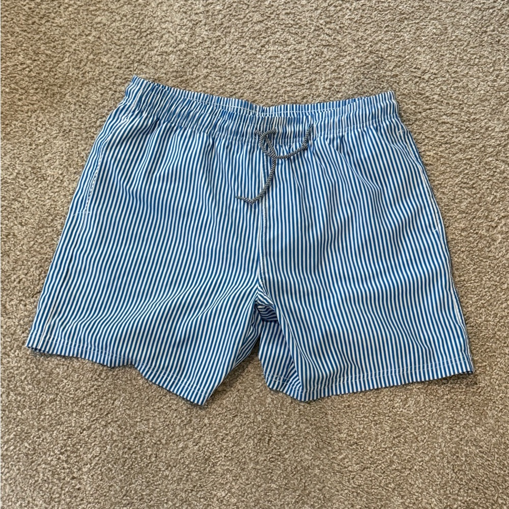 Blue Striped Mens Swimsuit